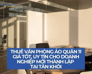 Thuê văn phòng ảo quận 11 giá tốt, uy tín cho doanh nghiệp mới thành lập tại Tân Khôi